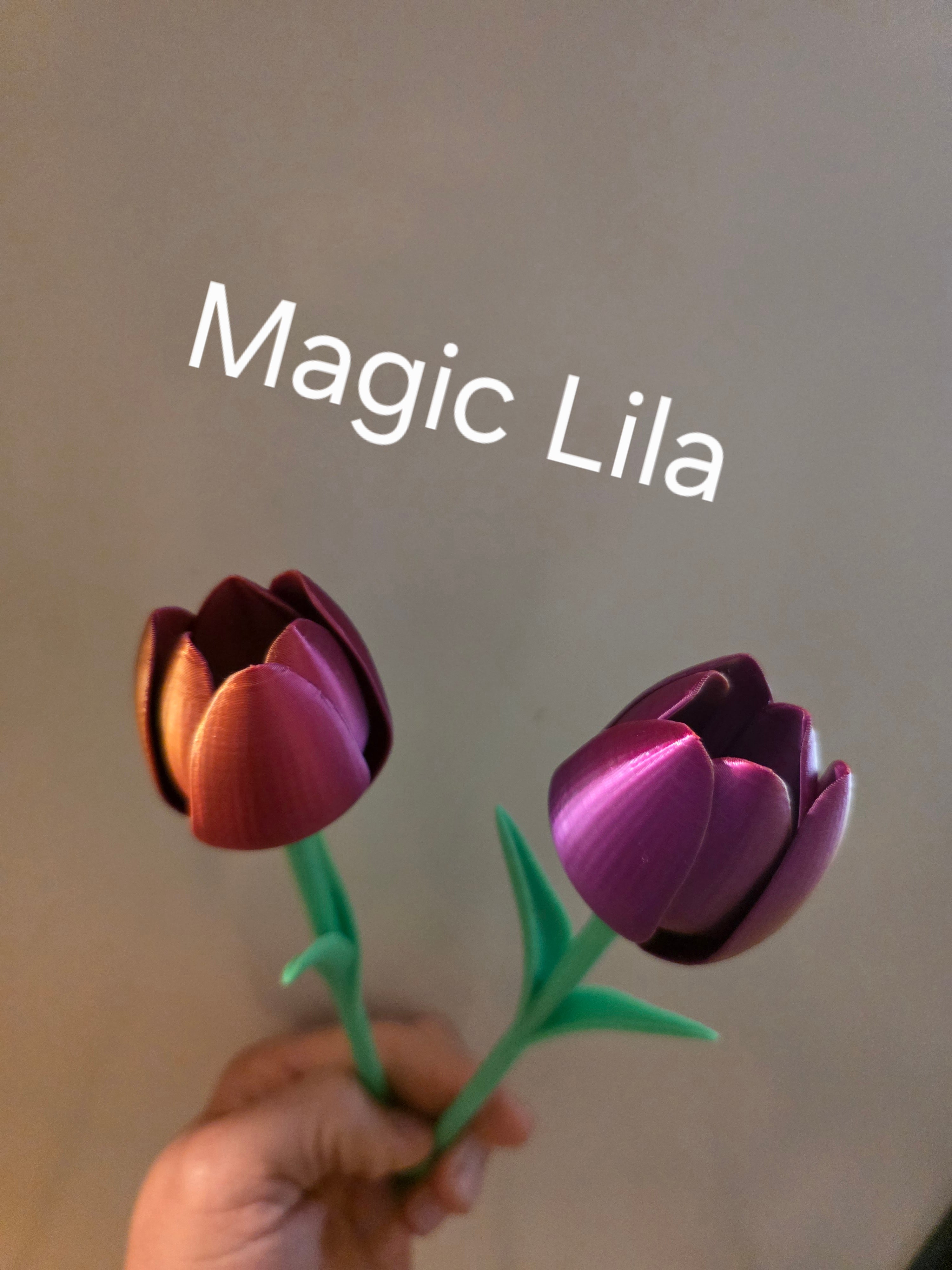 Blumen  Tulpen | Moderne Deko Blumen | Nachhaltige Frühlingsdeko | Minimalistische Vase Deko | Geschenkidee - kein verblühen  Geschenk