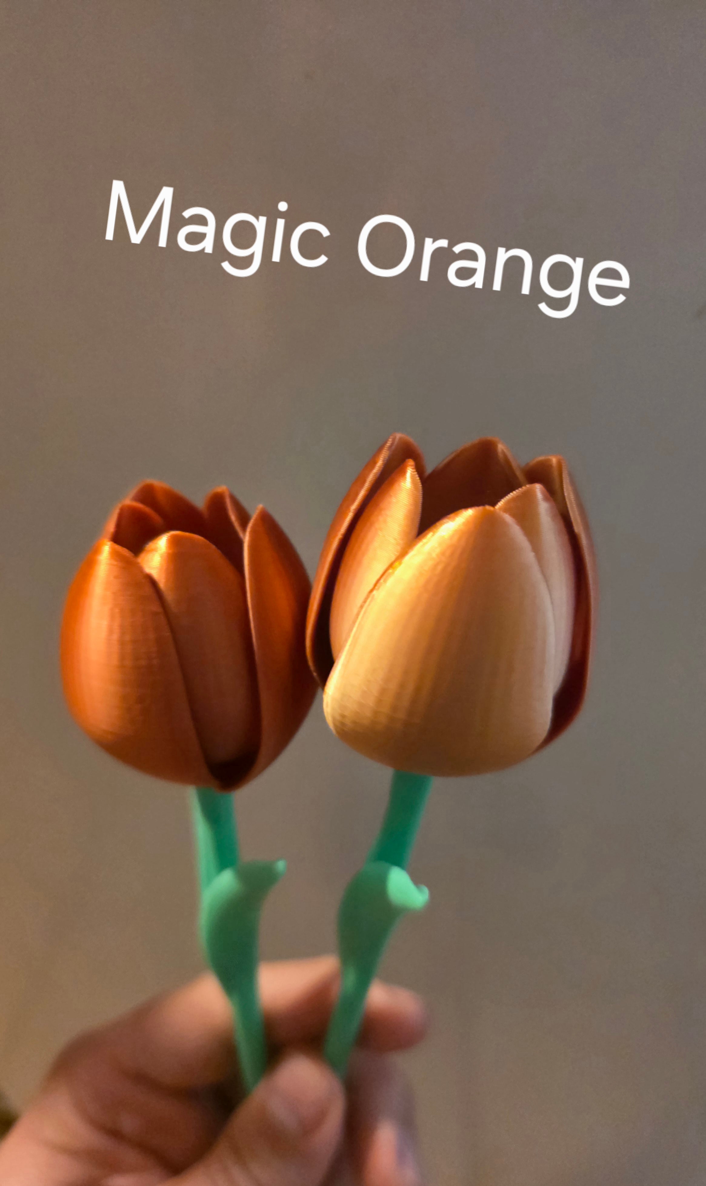 Blumen  Tulpen | Moderne Deko Blumen | Nachhaltige Frühlingsdeko | Minimalistische Vase Deko | Geschenkidee - kein verblühen  Geschenk